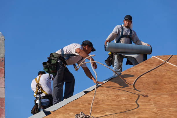 Best Roof Maintenance Services  in Pendergrass, GA