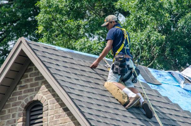 Best Shingle Roofing Installation  in Pendergrass, GA